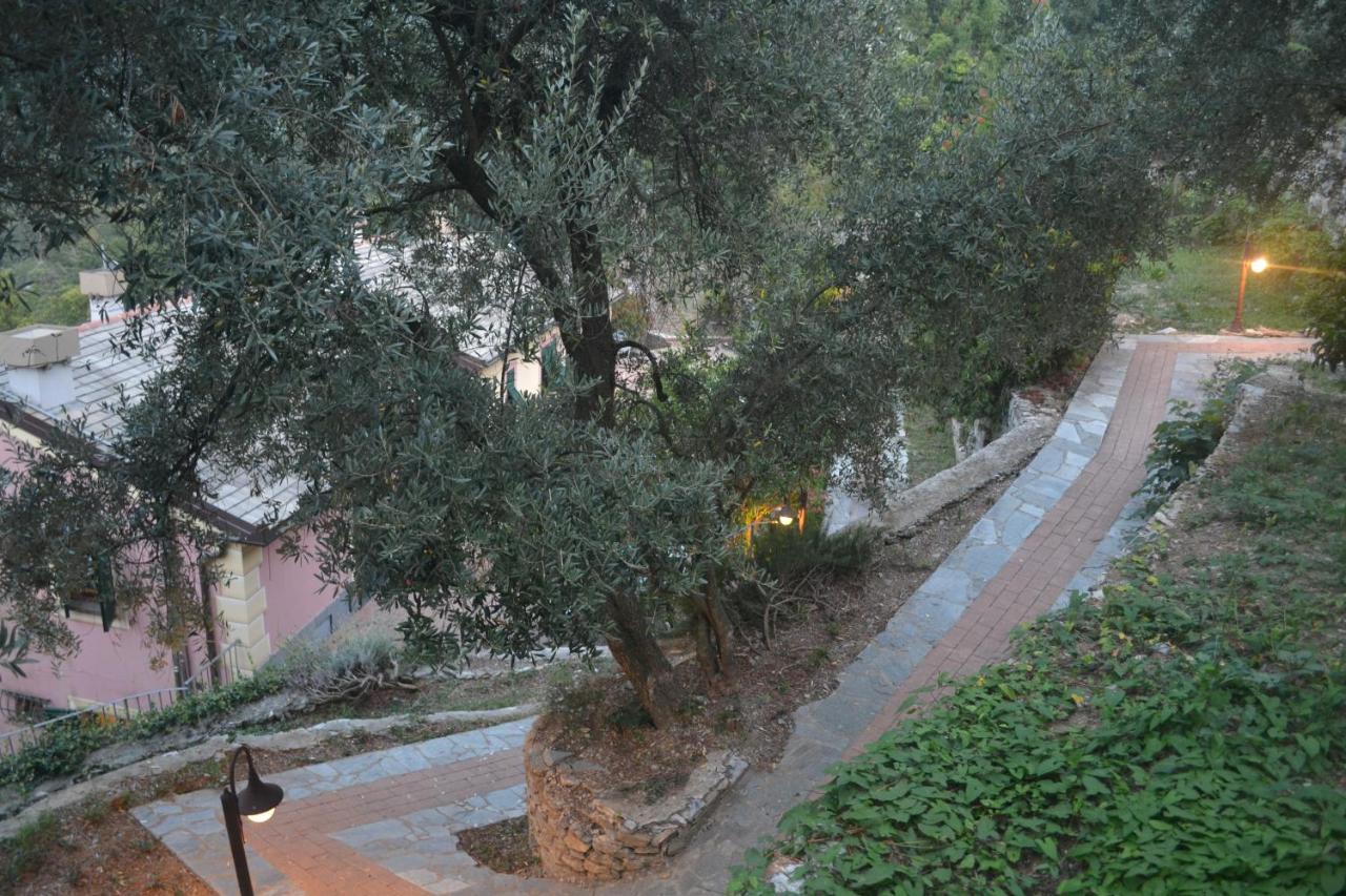 Olivari - Apt Il Melograno Camogli